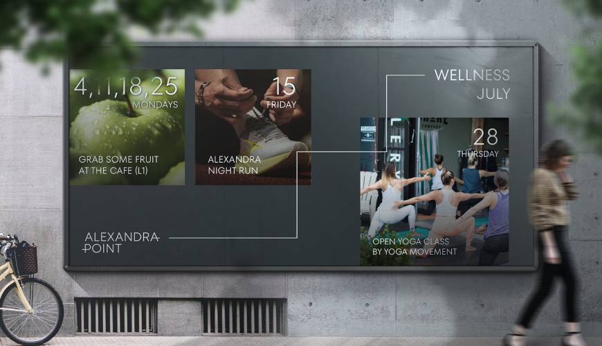 西吉县画册设计公司如何进行品牌审核